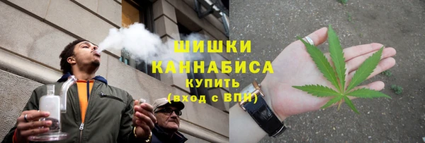 прущая мука Няндома