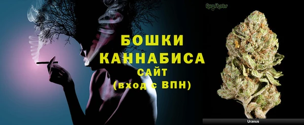 прущая мука Няндома