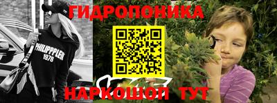 ПСИЛОЦИБИНОВЫЕ ГРИБЫ Камышлов
