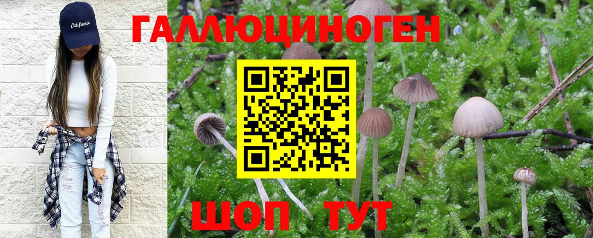 Кунгур  Галлюциногенные грибы GOLDEN TEACHER  Вход с VPN 